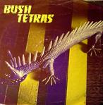 bush tetras 99 records